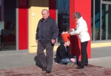 Die Null Euro Jobs sollen kommen!