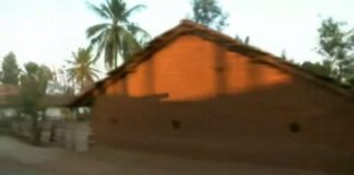 Doku am Sonntag: „Der Pakt mit dem Panda – Was uns der WWF verschweigt“