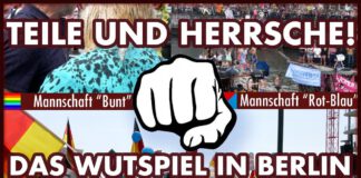 Teile und Herrsche – Das Wutspiel in Berlin (AfD Demo und Gegendemo)
