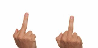 Warum nur noch Hass uns retten kann! Warum nur noch Hass uns retten kann! - AfD und das Niederbrüllen von Links