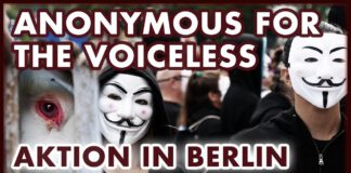 Gegen Tierquälerei: „Anonymous For The Voiceless“ in Berlin (Cube Of Truth)