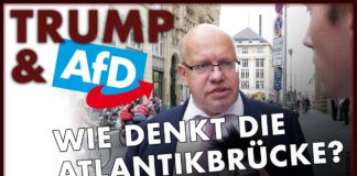 Atlantik-Brücke: Wie stehen Transatlantiker zu Donald Trump und der AfD?