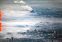 Doku am Sonntag: Die Erdzerstörer: Sind wir Menschen die Bösen? (ARTE)