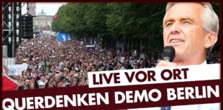 Querdenken-Demo: Berlin Invites Europe | 29.08.2020 #Corona #Coronademo #B2908