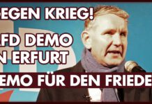 Ein Plädoyer für den Frieden | AfD-Demo in Erfurt.