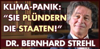 Angst ums Klima: Die perfekte Geldmaschine | Dr. Bernhard Strehl